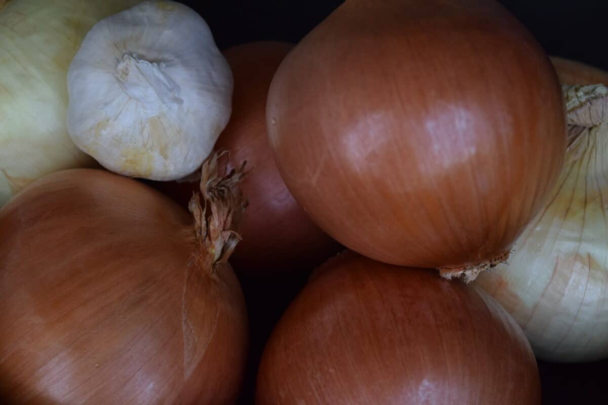 A dark bowl of yellow onions and two bulbs of garlic very close up