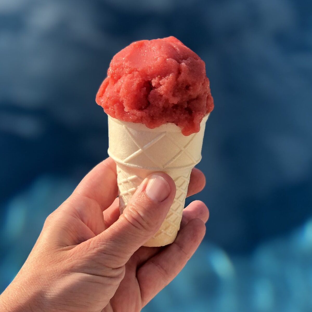 ice cream cone with strawberry sorbet