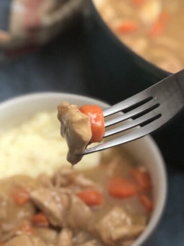 a bowl of rotisserie chicken stew with mashed potatoes and a fork with chicken and carrot on it