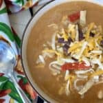 bowl of chicken enchilada soup with cheese and tortilla strips soup spoon chilis apron