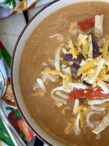 bowl of chicken enchilada soup with cheese and tortilla strips soup spoon chilis apron