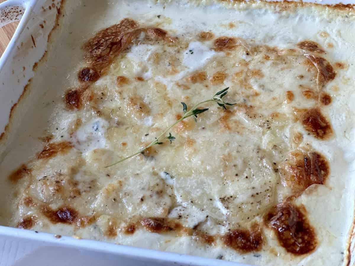 au gratin potatoes in white baking dish sprig of thyme on top